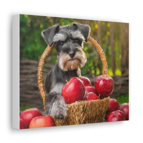 Schnauzer and Apples Canvas