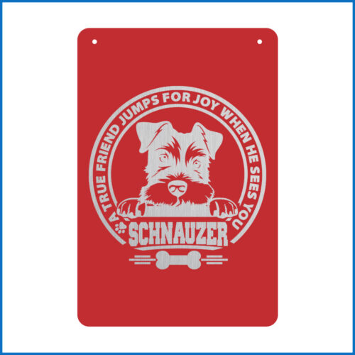 Best Friend Jumps For Joy