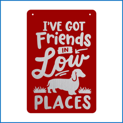 I've Got Friends Low Places