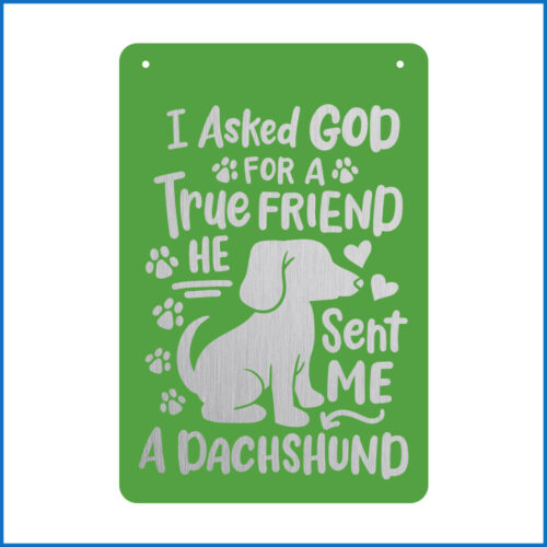 True Friend In Dachshund