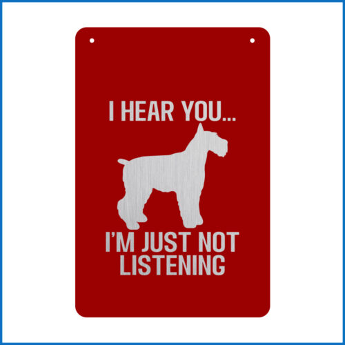 I Hear You, Just Not Listening